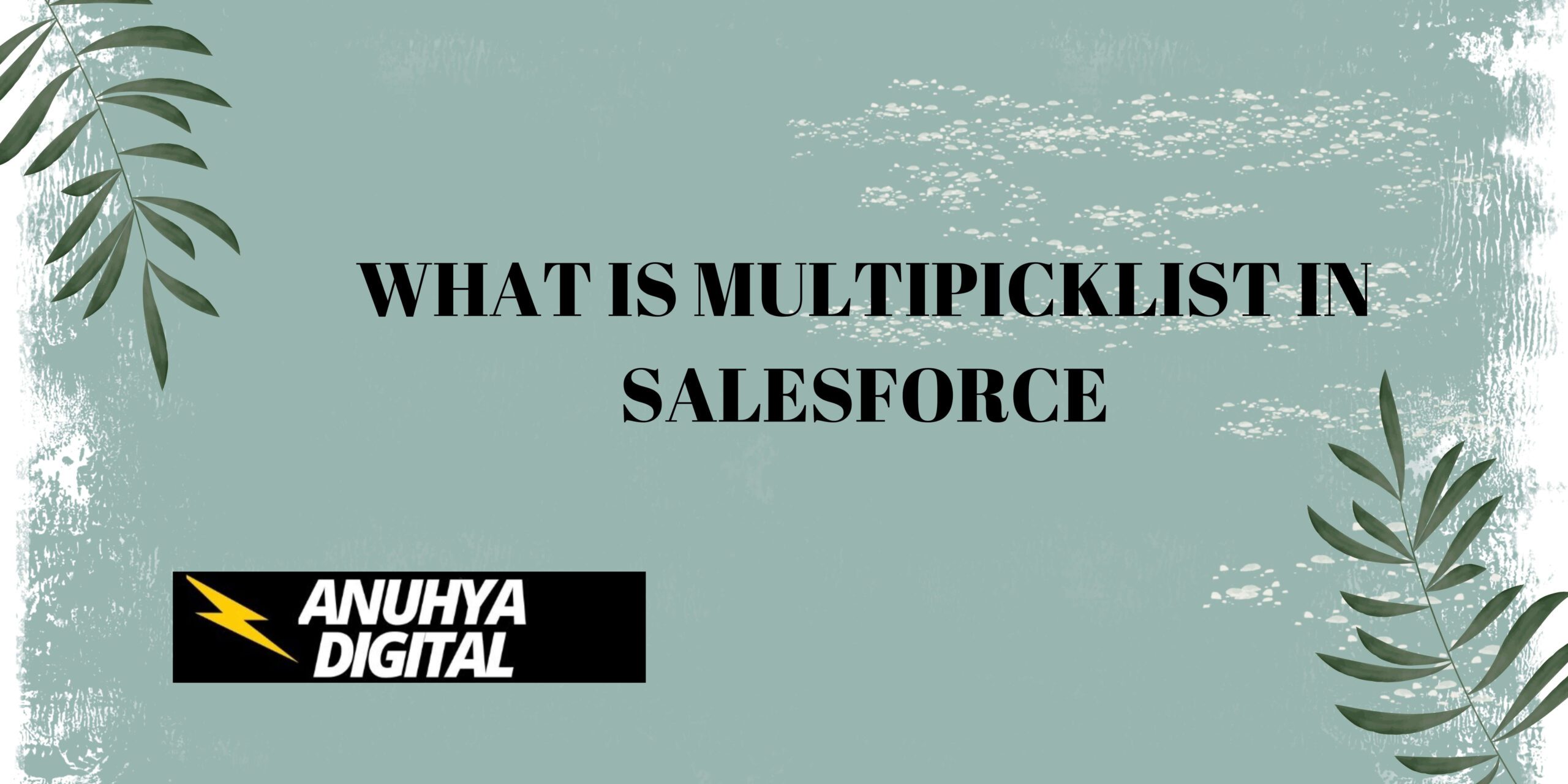 What is Multipicklist in Salesforce