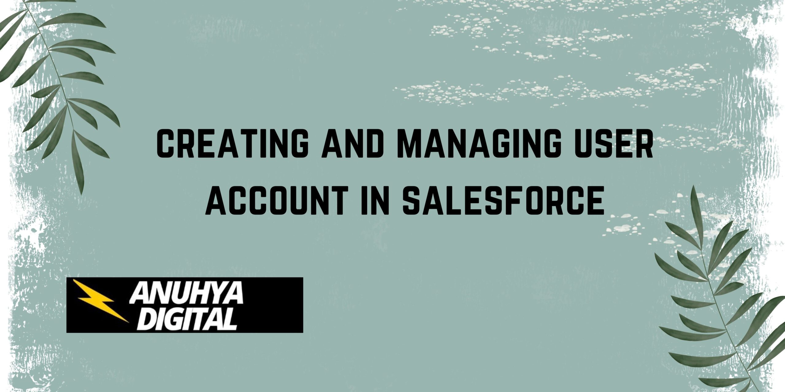 creating and managing user account in salesforce