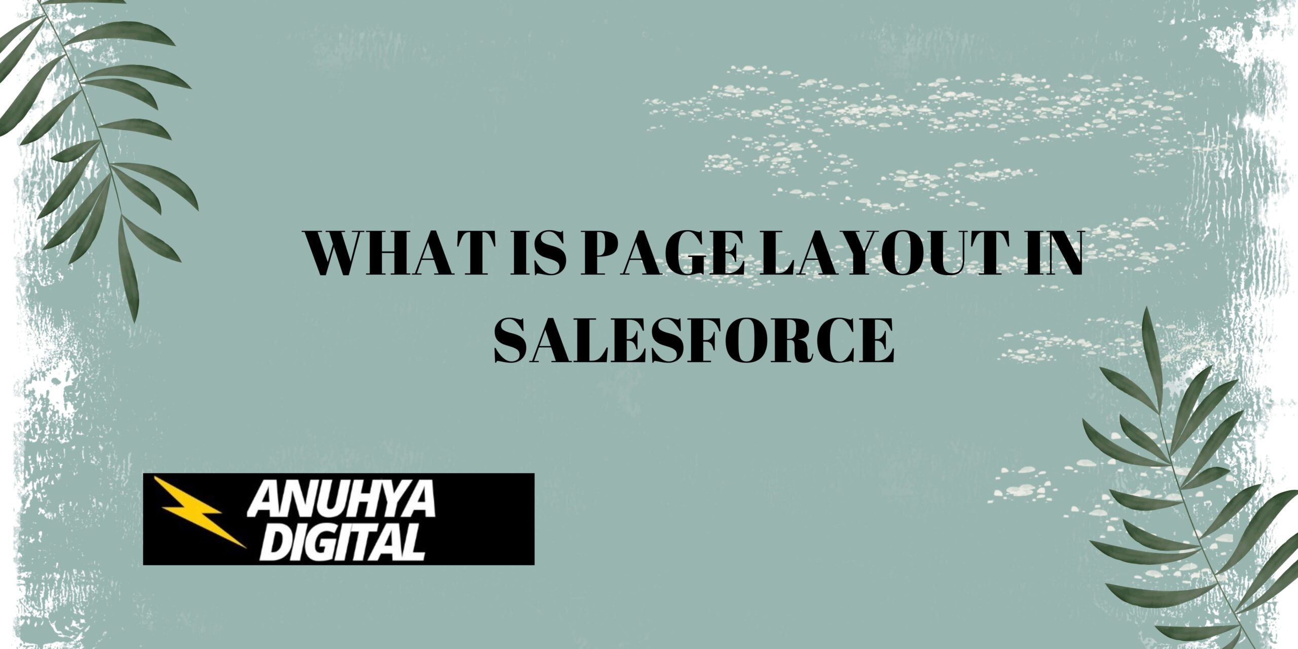 What is Page Layout in Salesforce