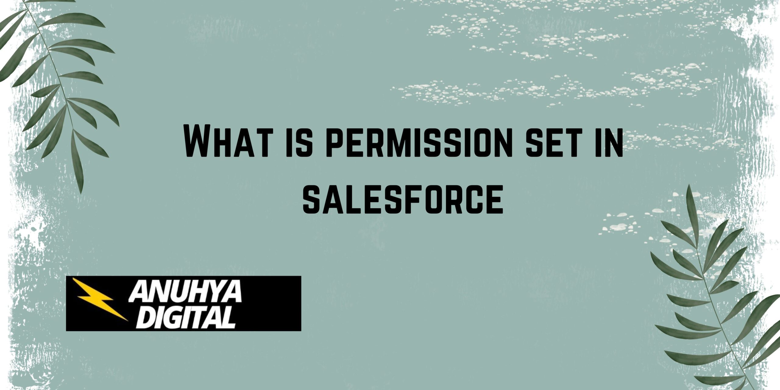 What is permission set in salesforce