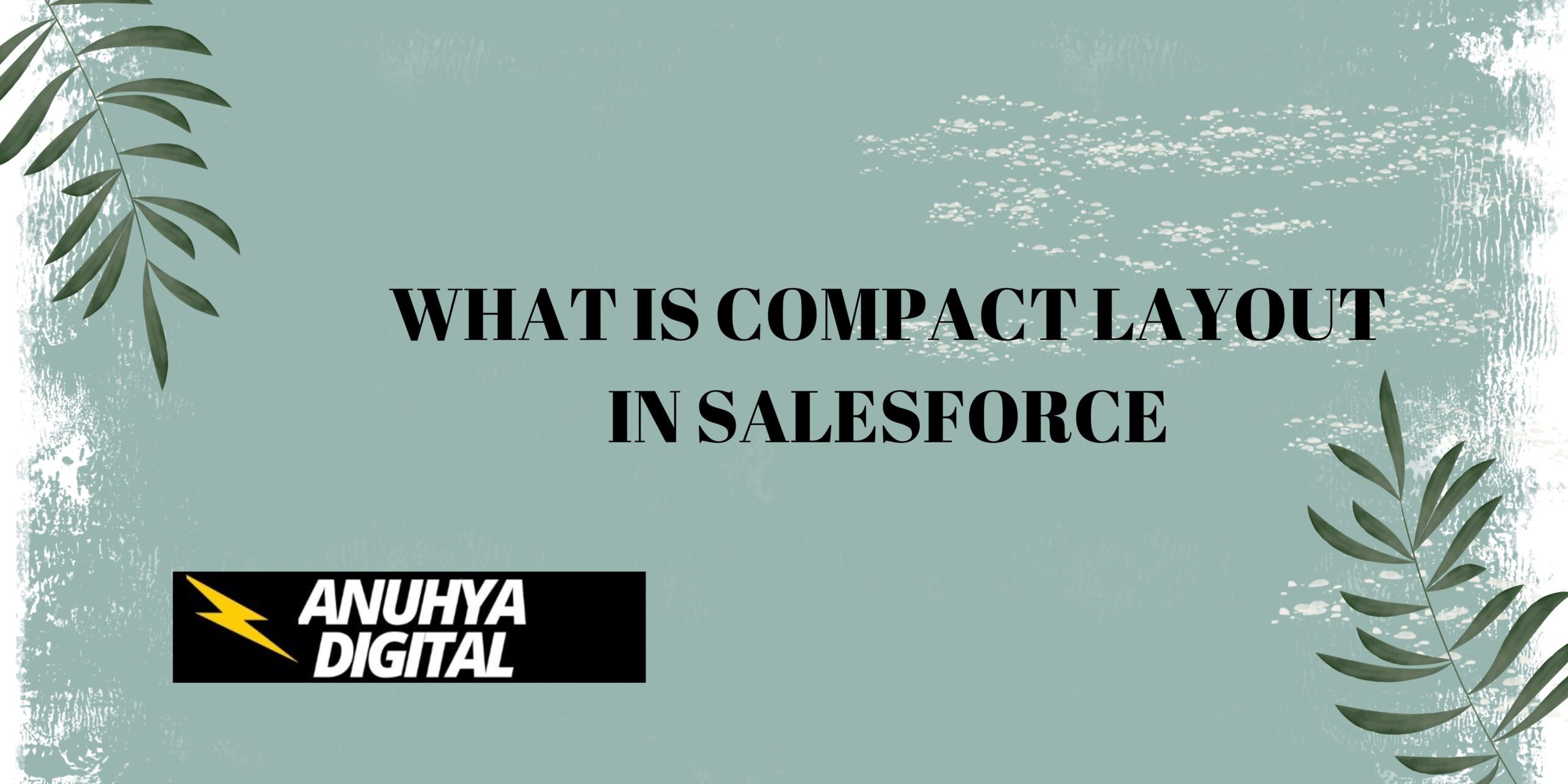 What is Compact Layout in Salesforce