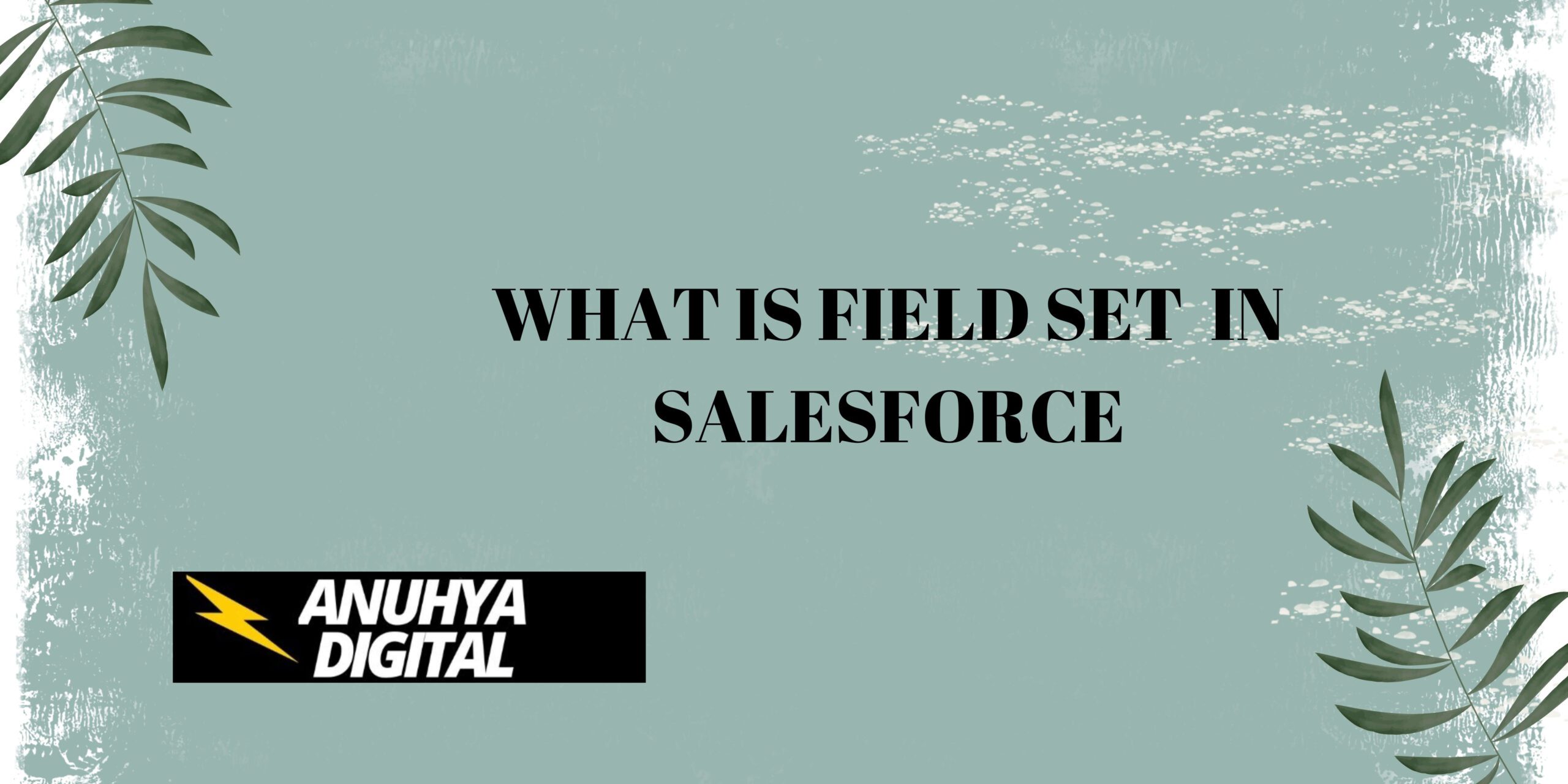 What is Field Sets in Salesforce