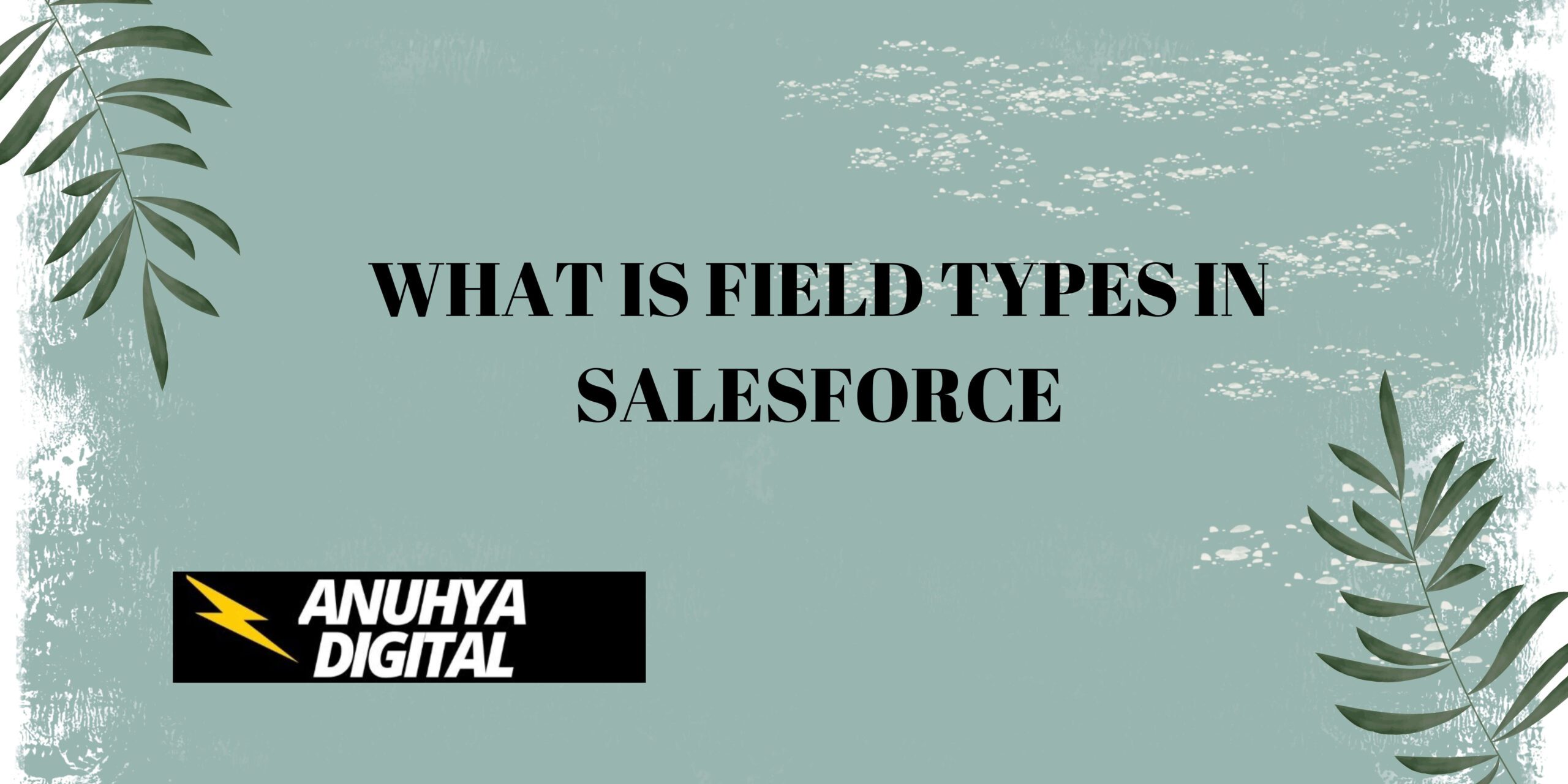 What is Field Types in Salesforce