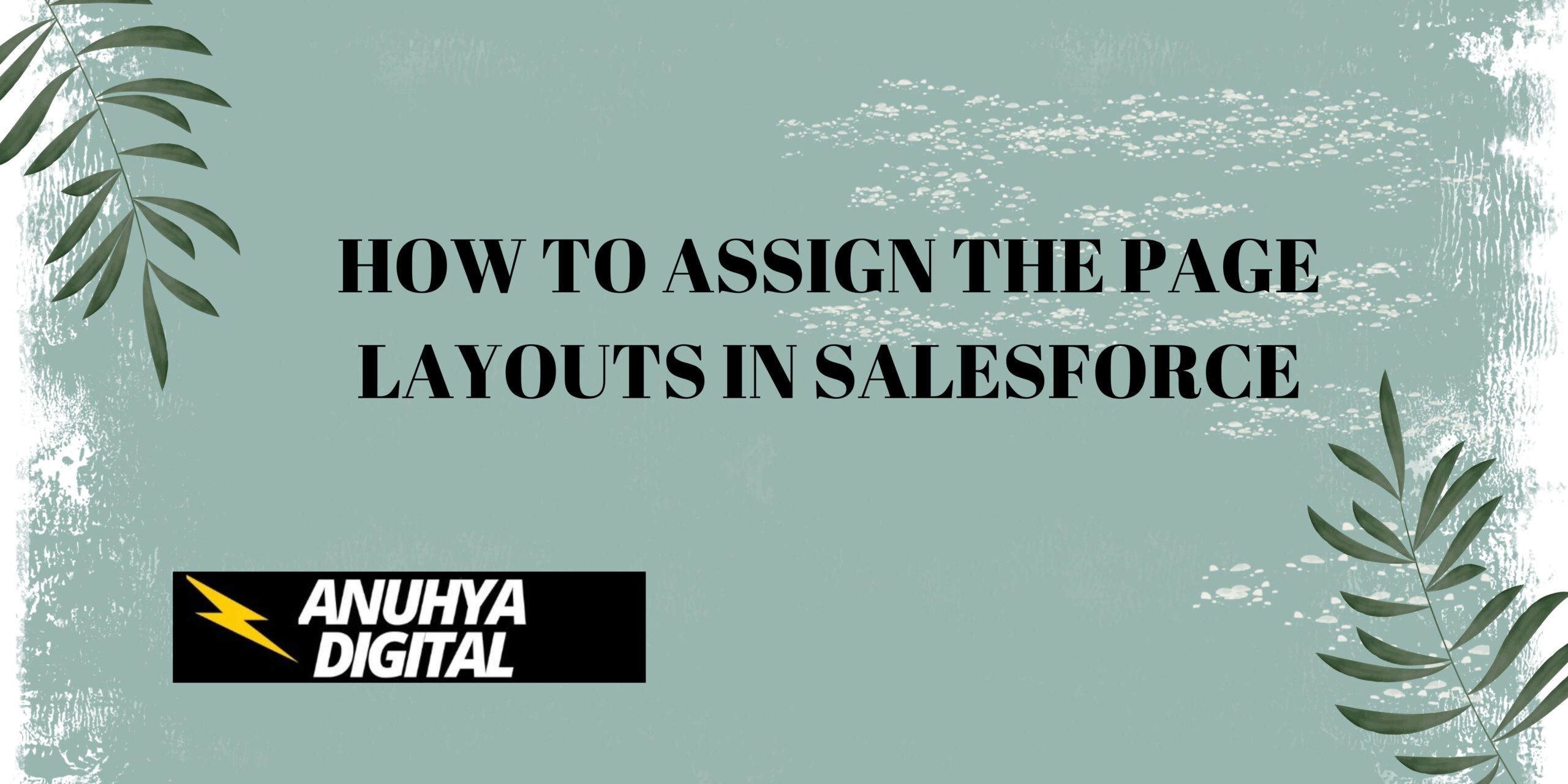 How to Assign the Page Layouts In Salesforce