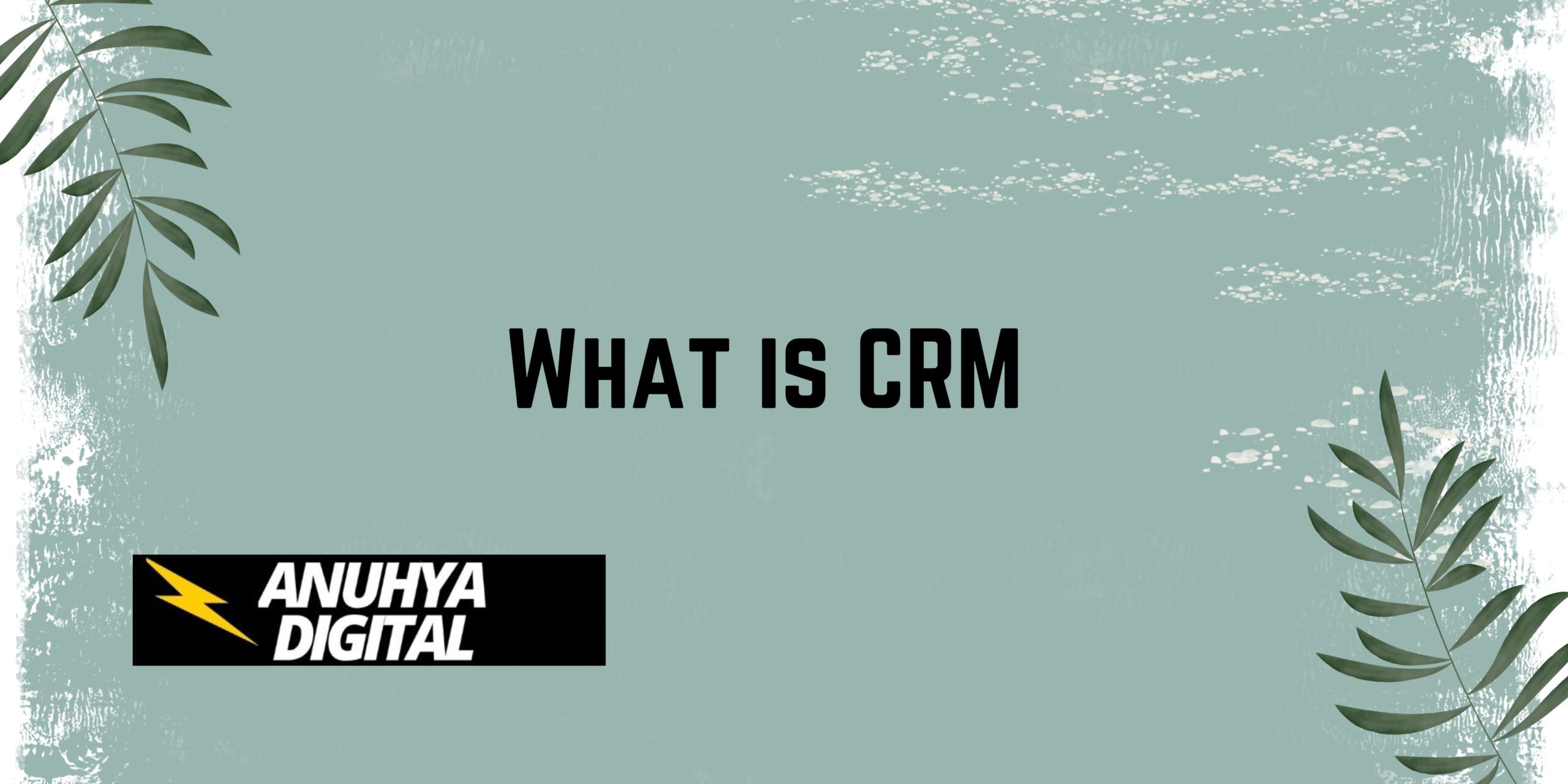 What is CRM