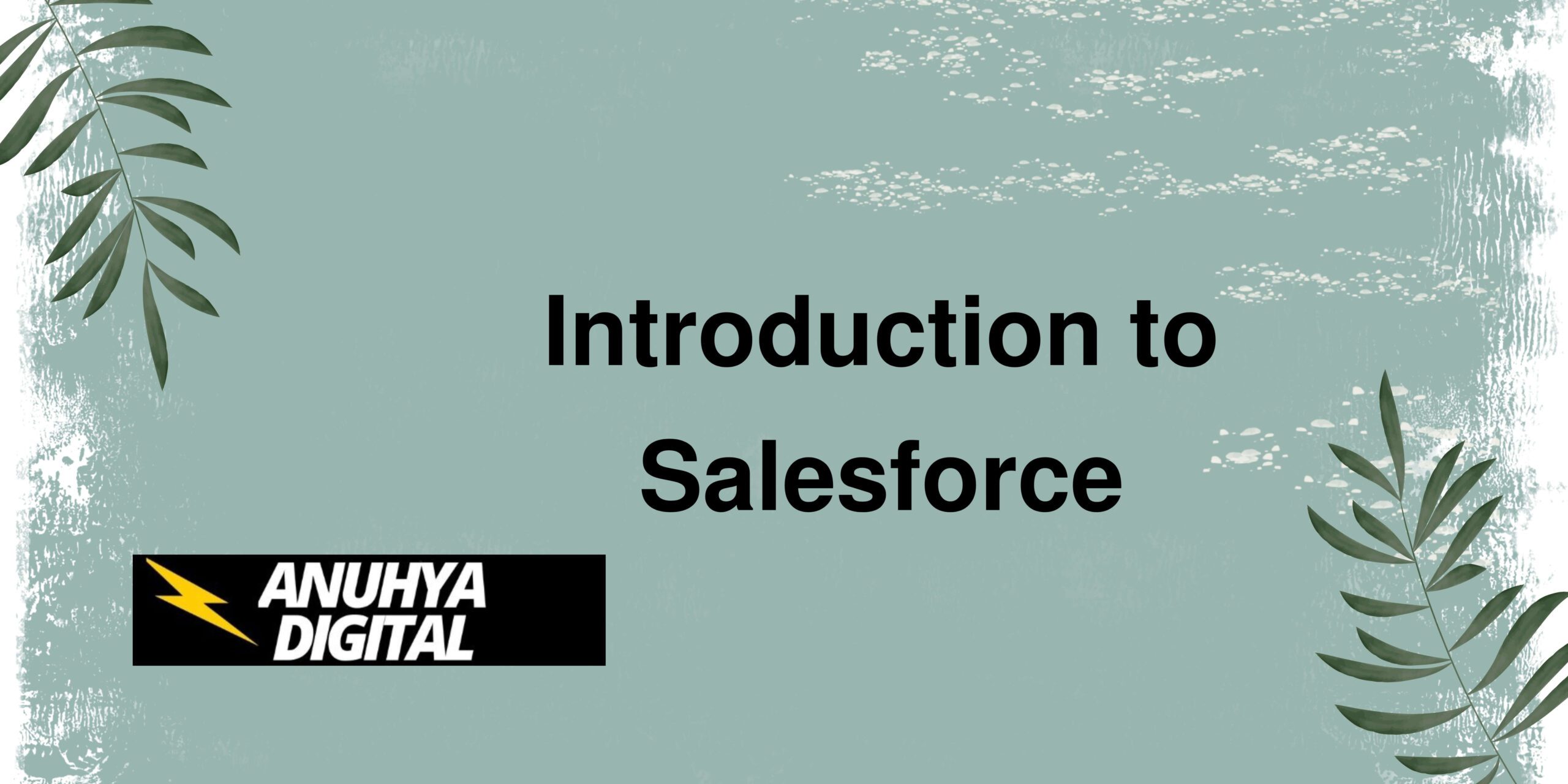 Introduction to salesforce