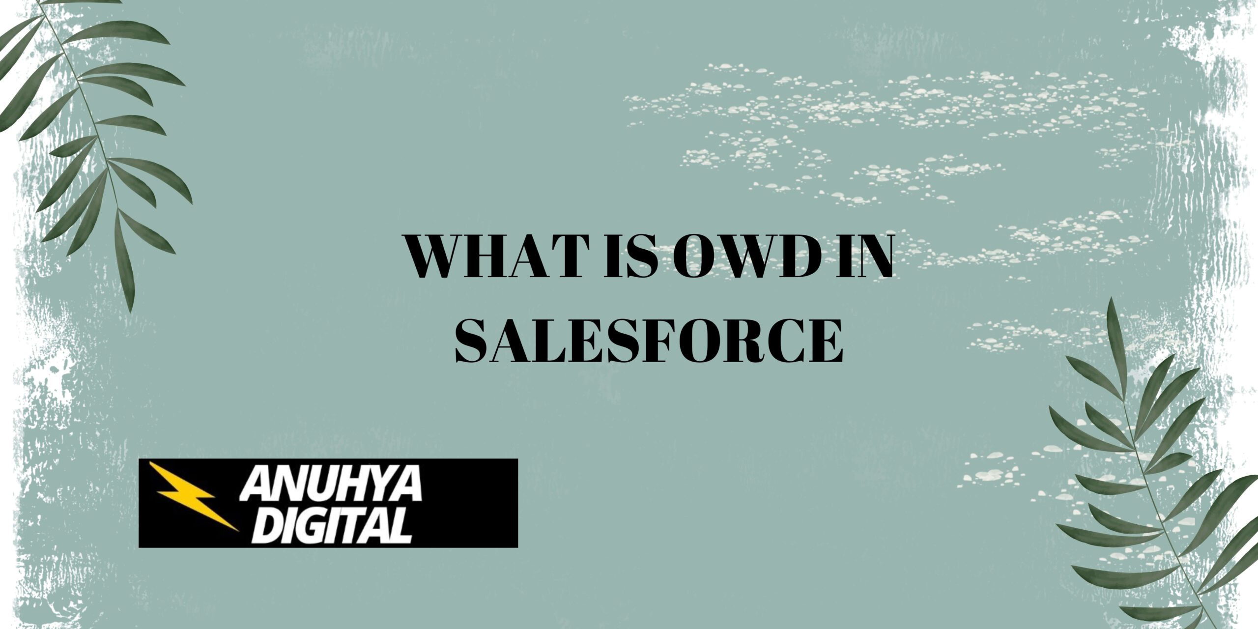 What is OWD in Salesforce