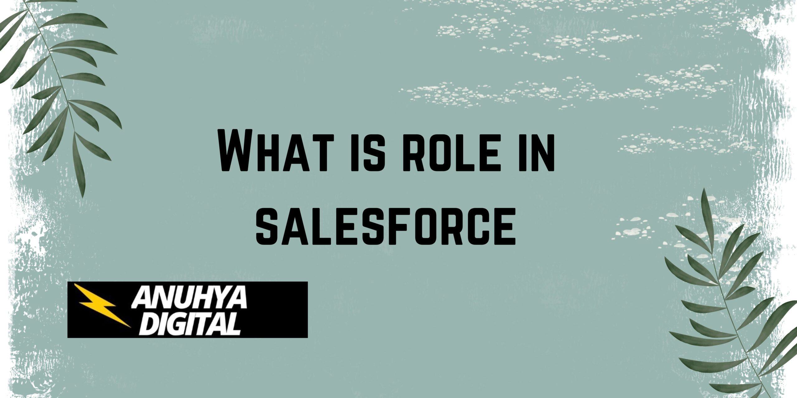 What is role in salesforce