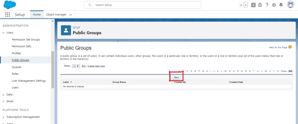 What is Public Group in Salesforce