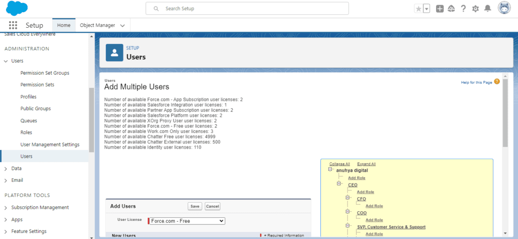 creating and managing user account in salesforce