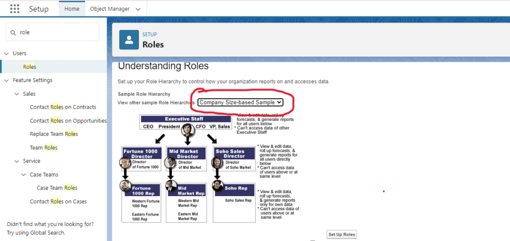 Introduction to role hierarchy in salesforce