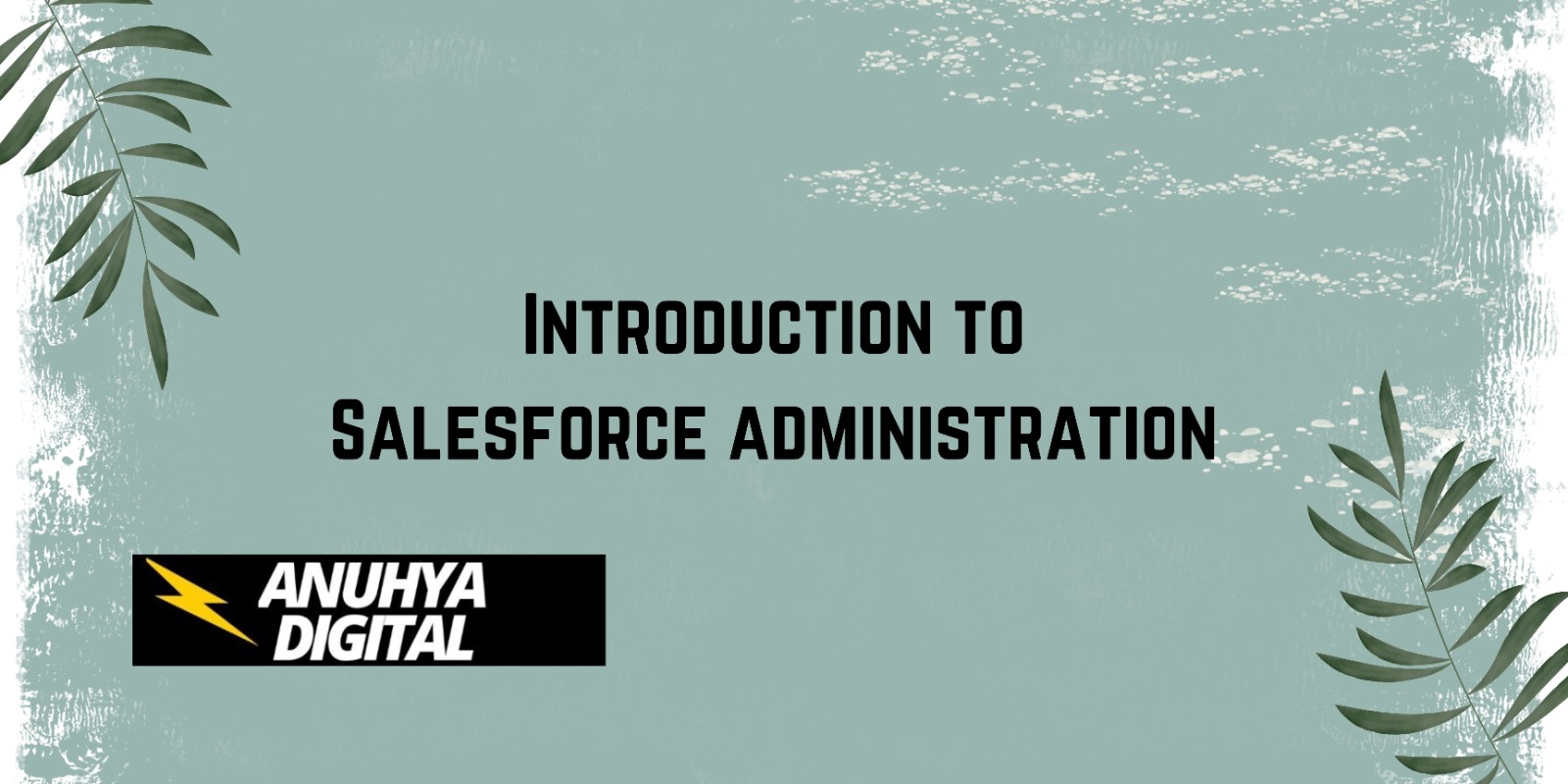 Introduction to Salesforce Administration 101