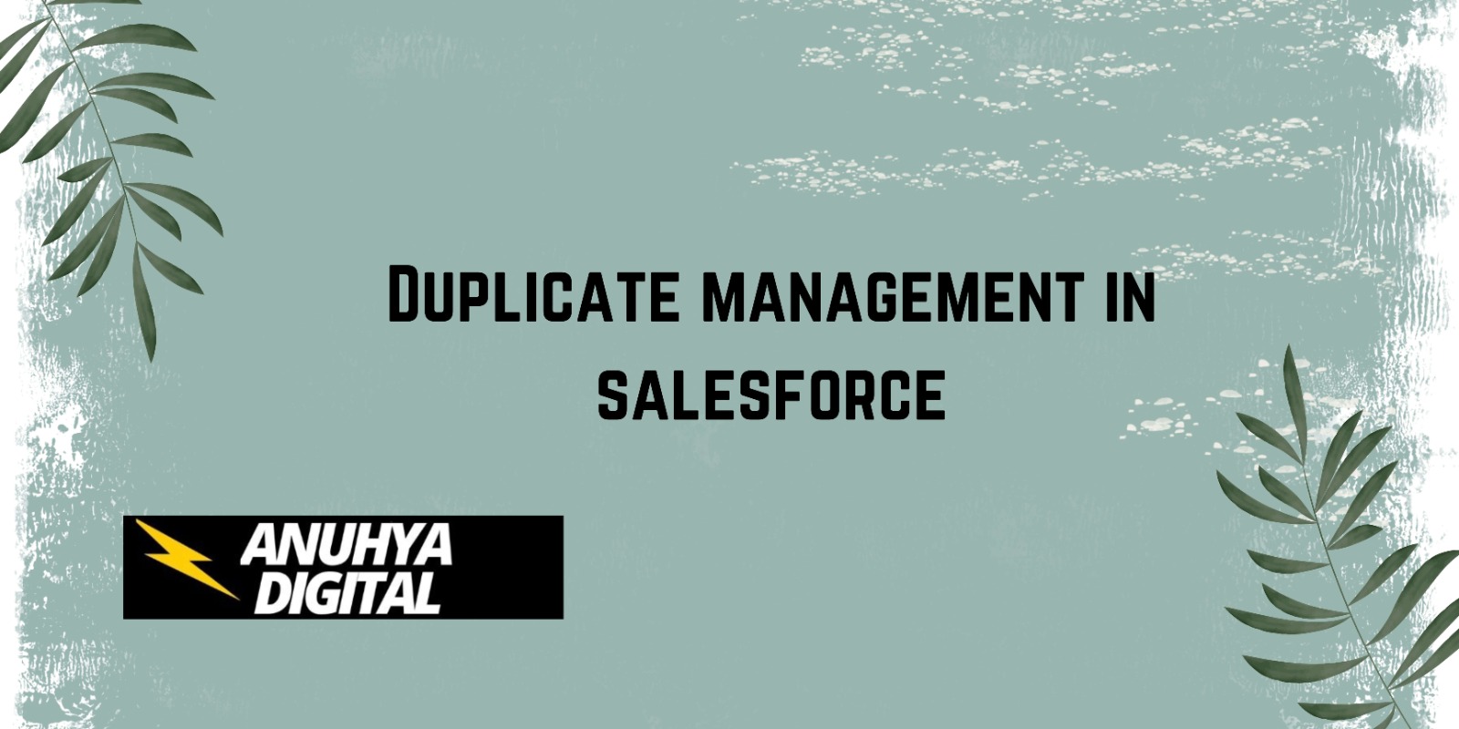 Introduction to Duplicate Management in Salesforce