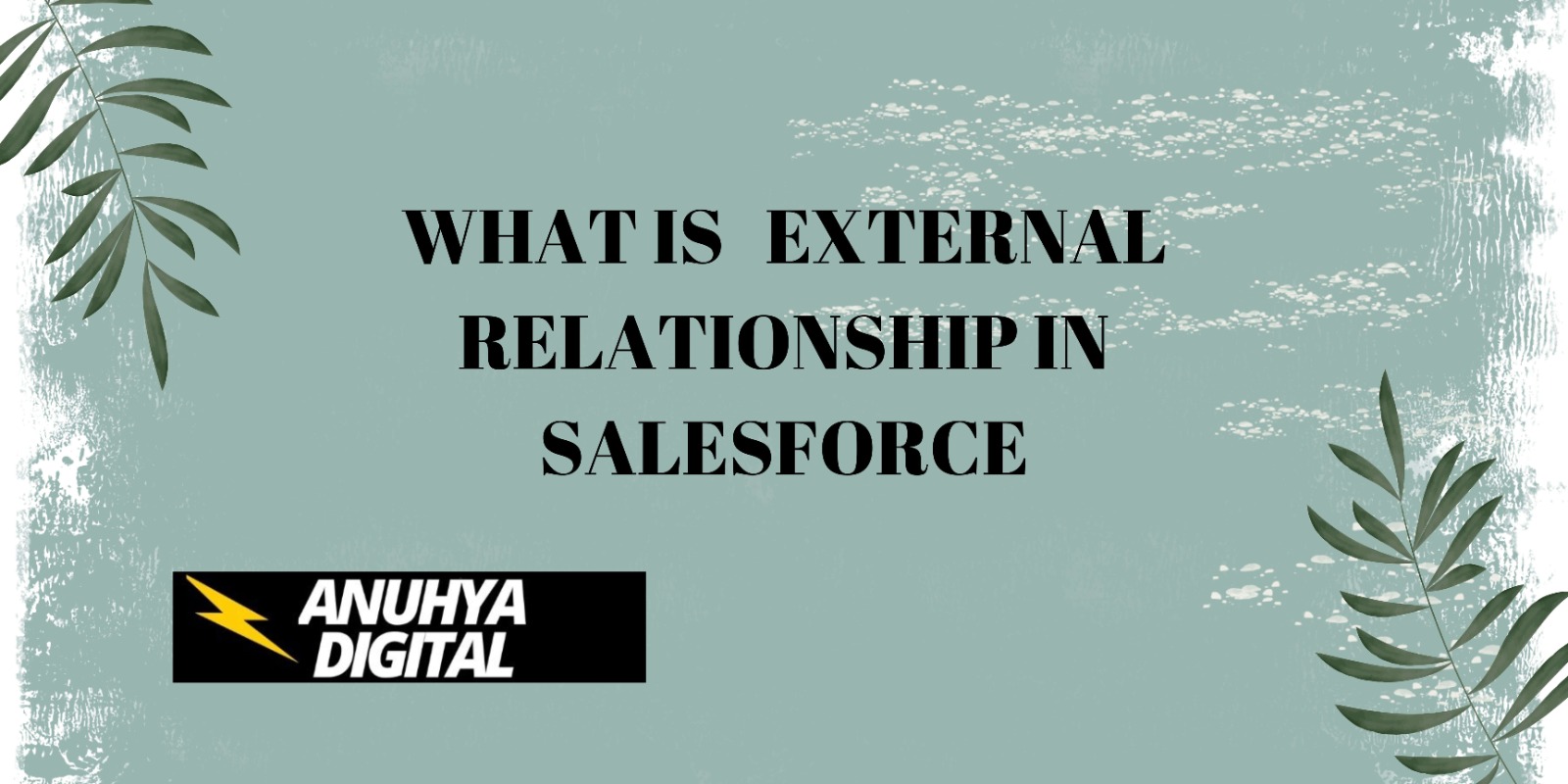 What is External Relationships in Salesforce