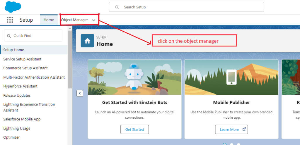 What is Custom Links in Salesforce