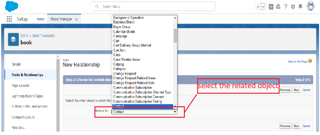 What is Master-Detail Relationship in Salesforce