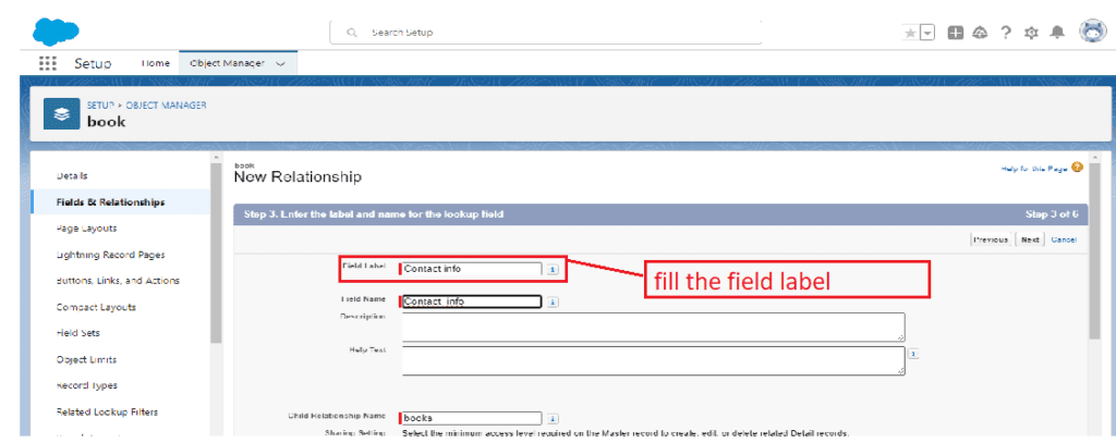 What is Master-Detail Relationship in Salesforce