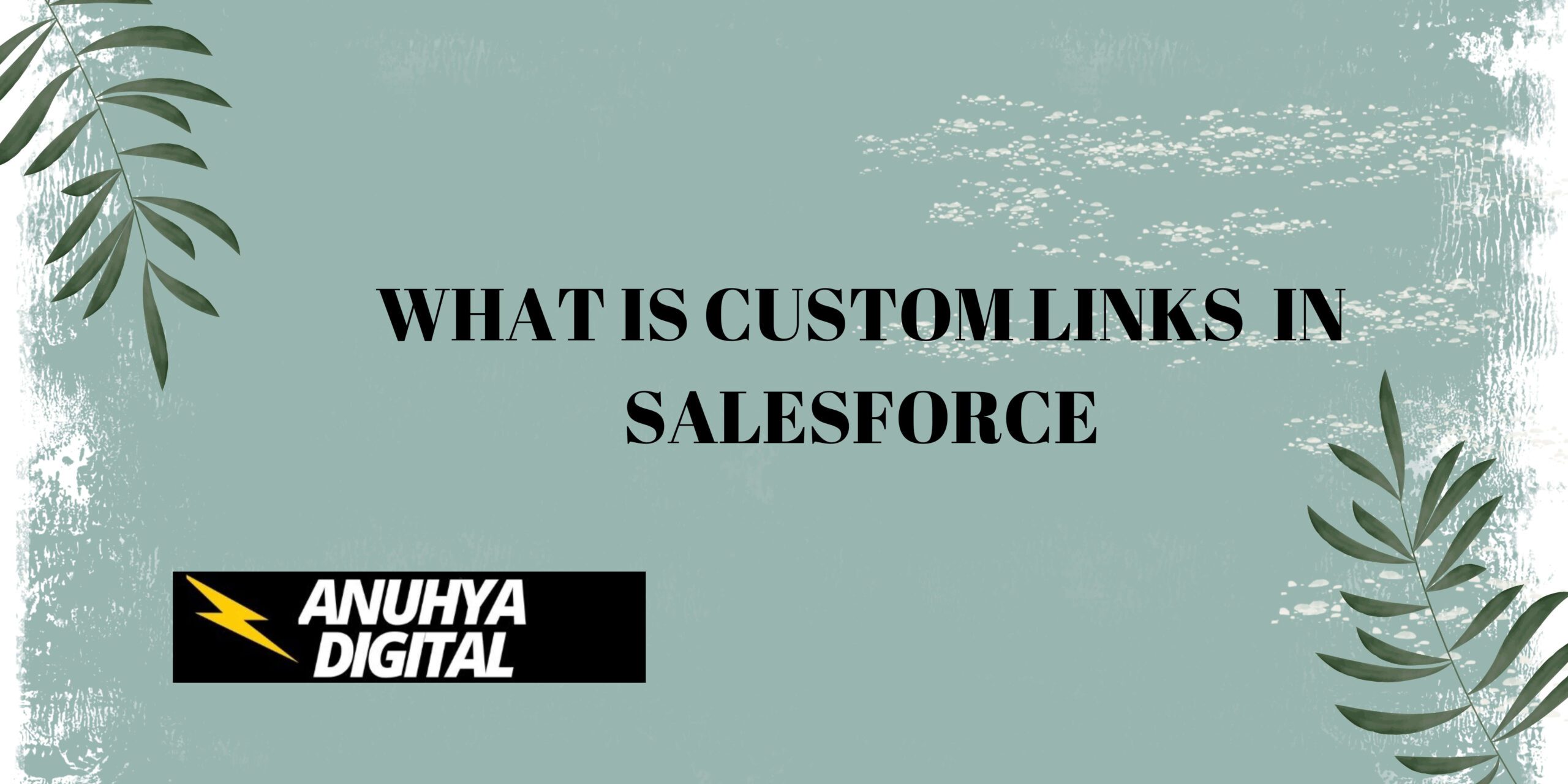 What is Custom Links in Salesforce