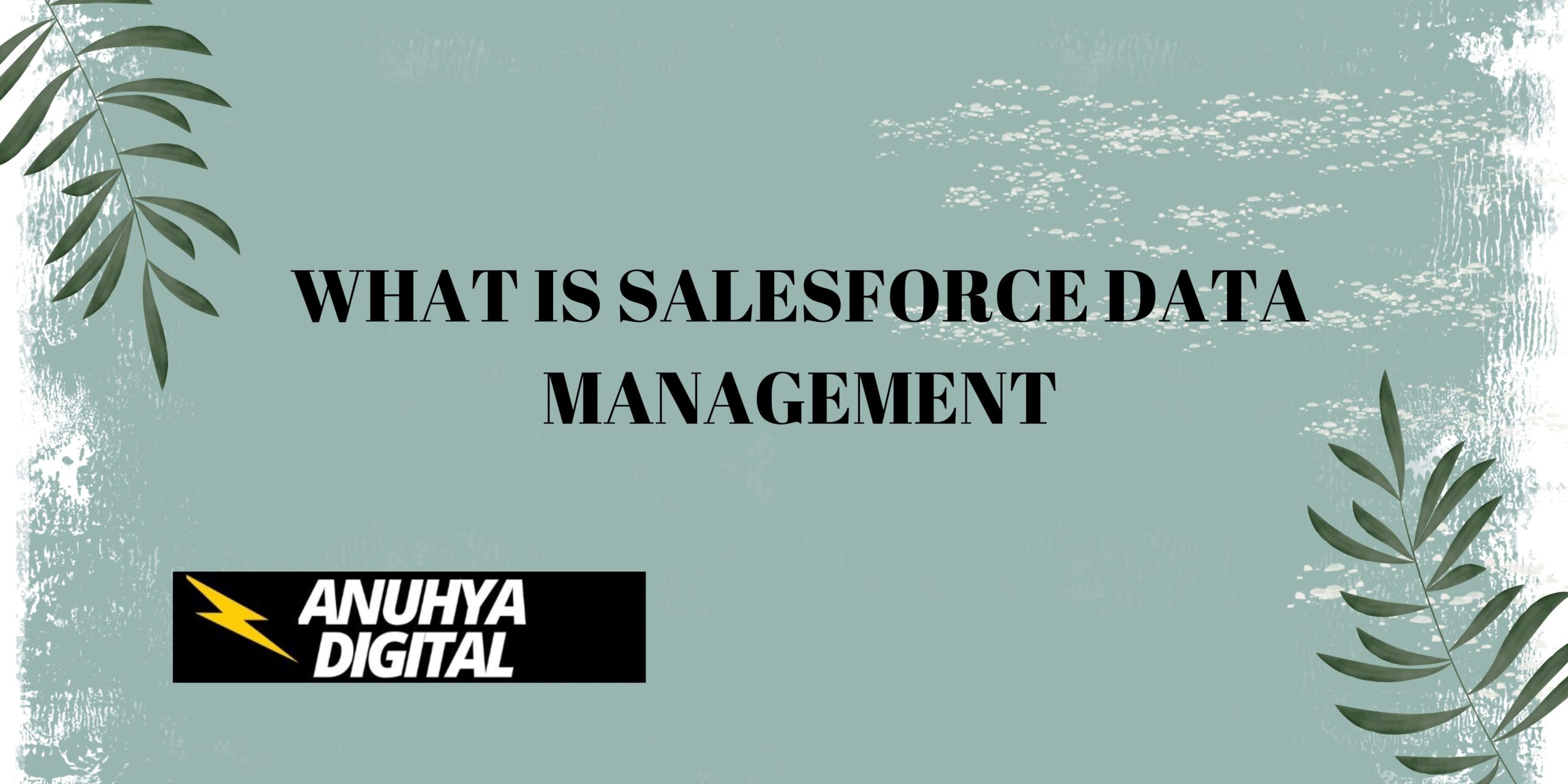 What is Salesforce Data Management