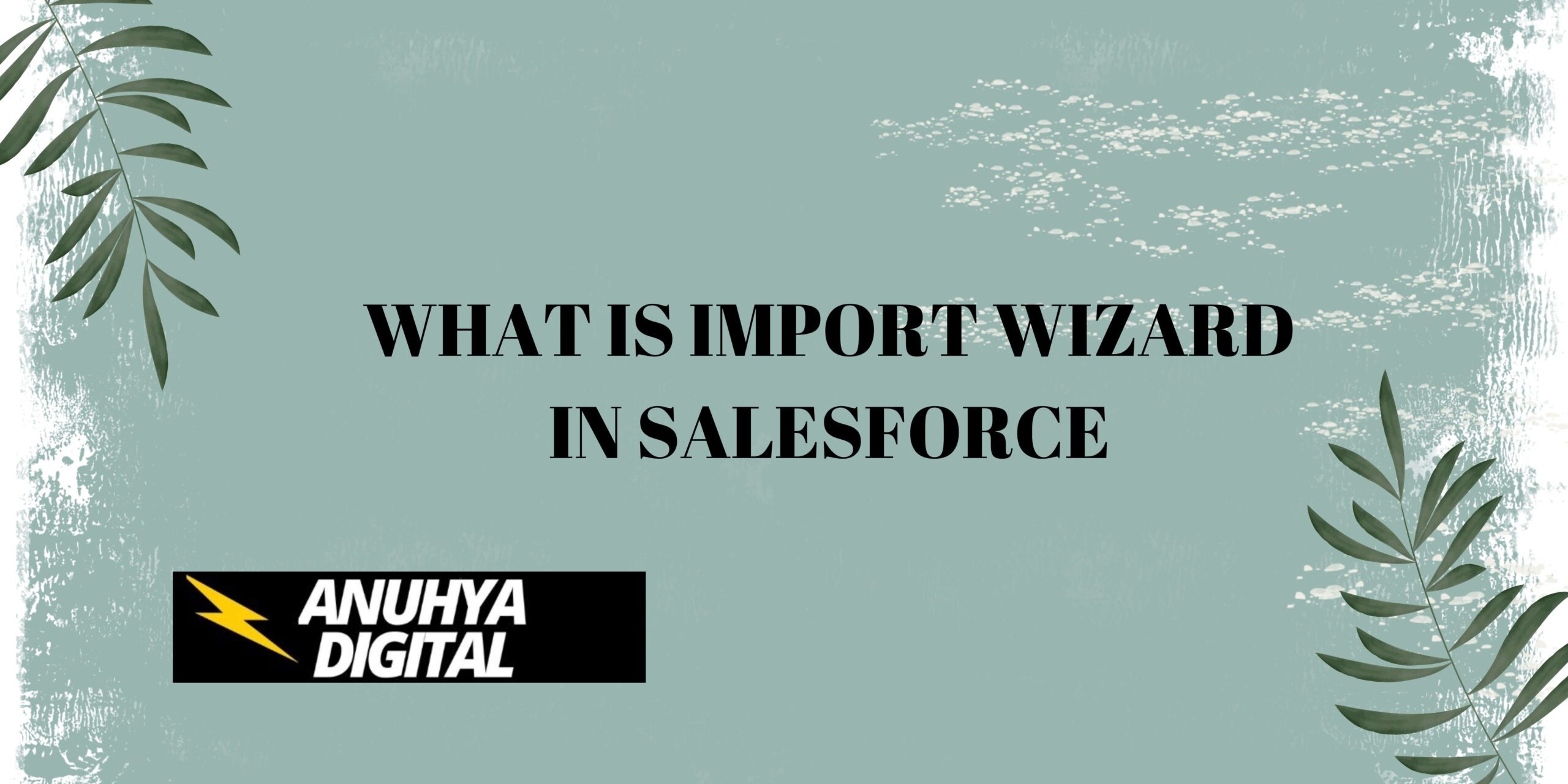 What is Import Wizard in Salesforce