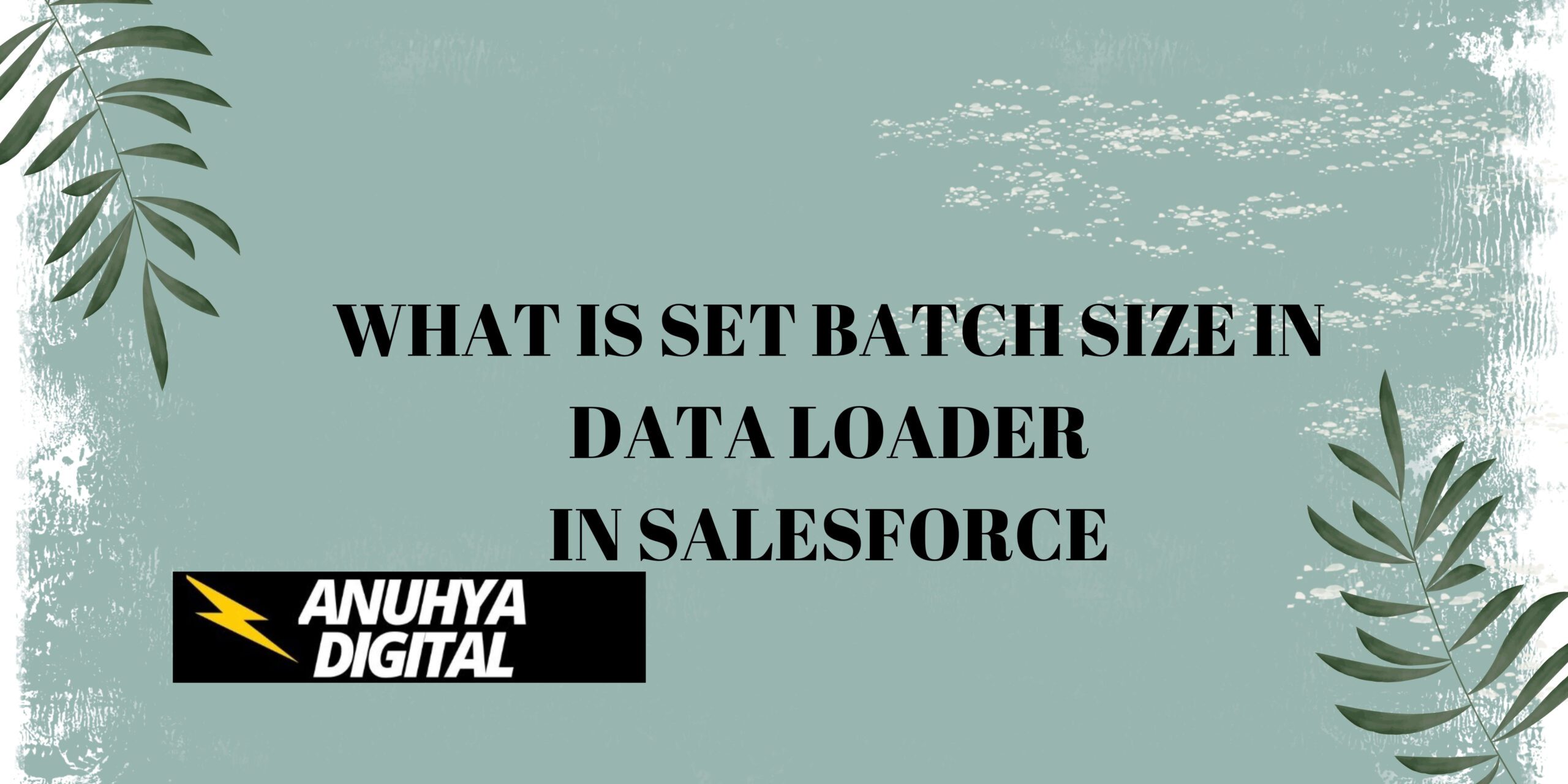 What is Set batch size in dataloader in Salesforce