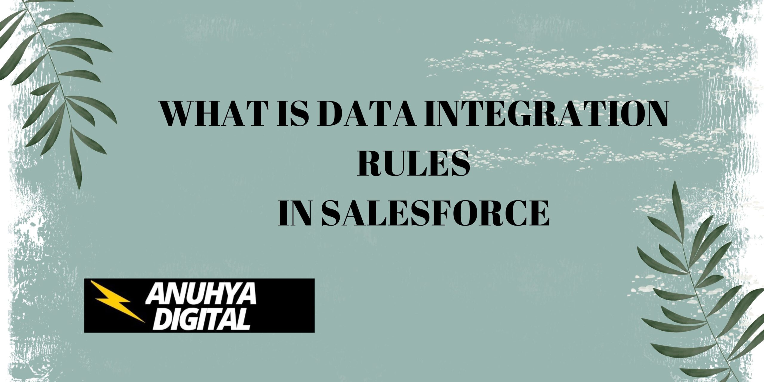 What is Data Integration Rules in Salesforce