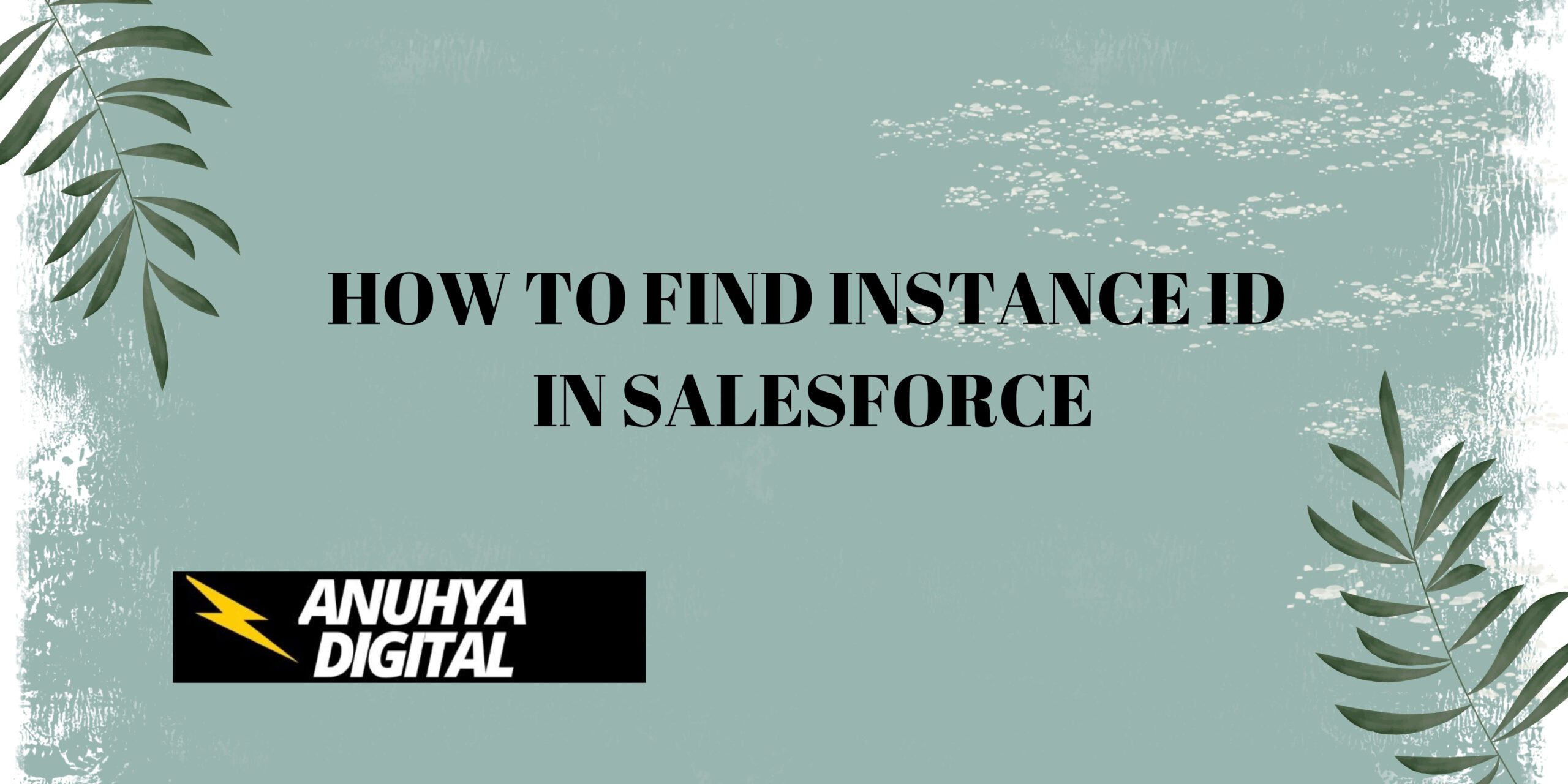 How to Find Instance ID in Salesforce