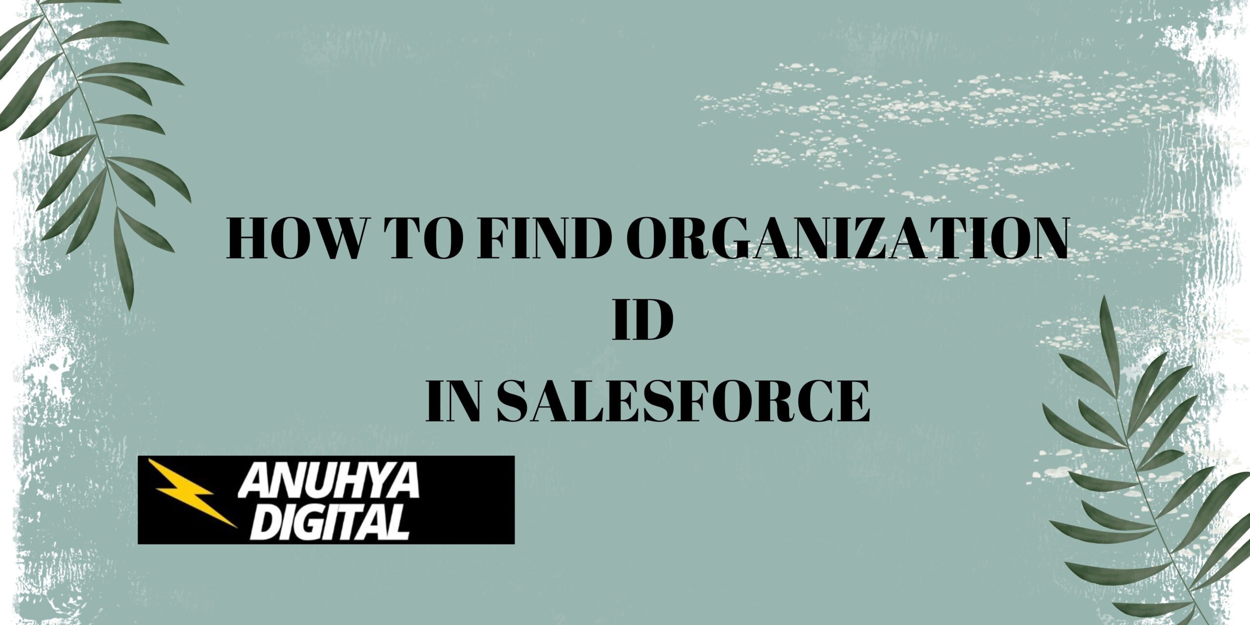 How to Find Organization ID in Salesforce