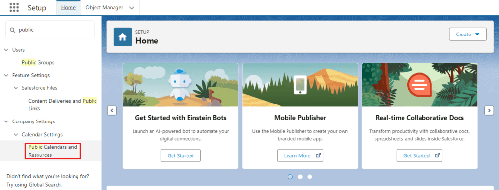 How to Setup Public Calendar in Salesforce