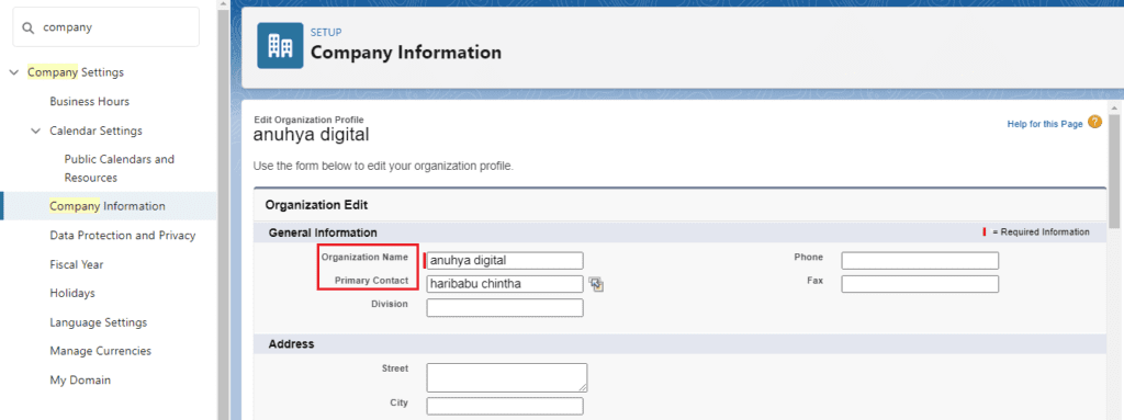 What is Company Information in Salesforce