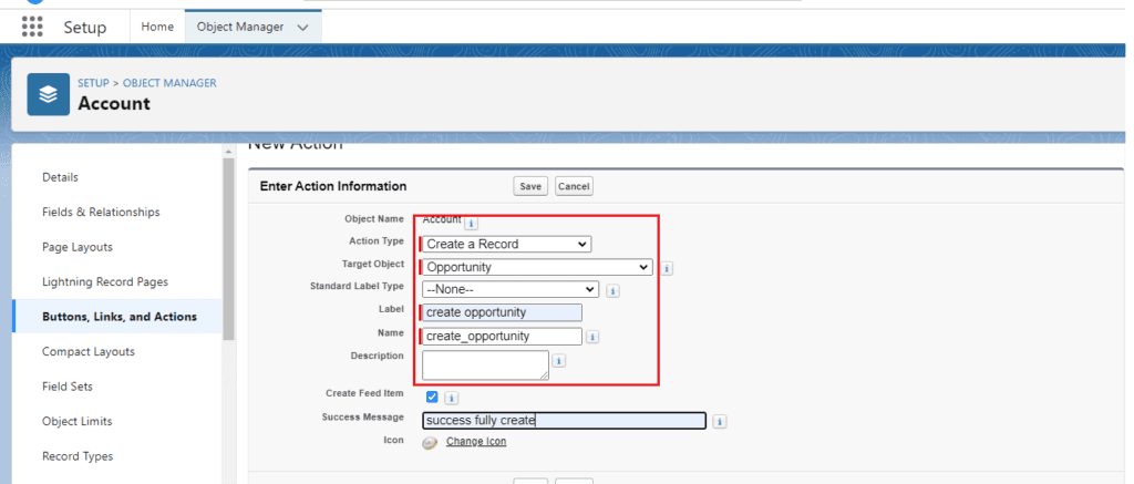 What is Custom Actions in Salesforce