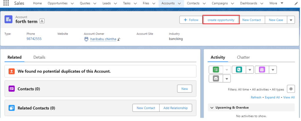 What is Custom Actions in Salesforce