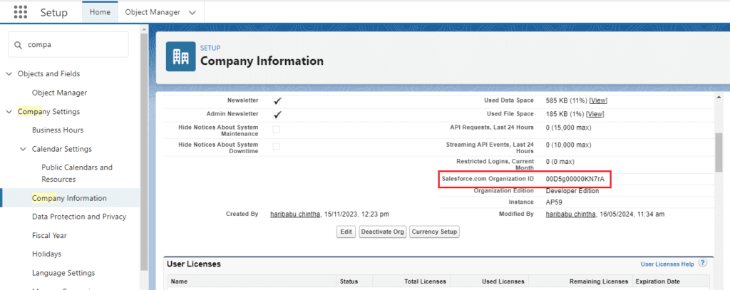 How to Find Organization ID in Salesforce