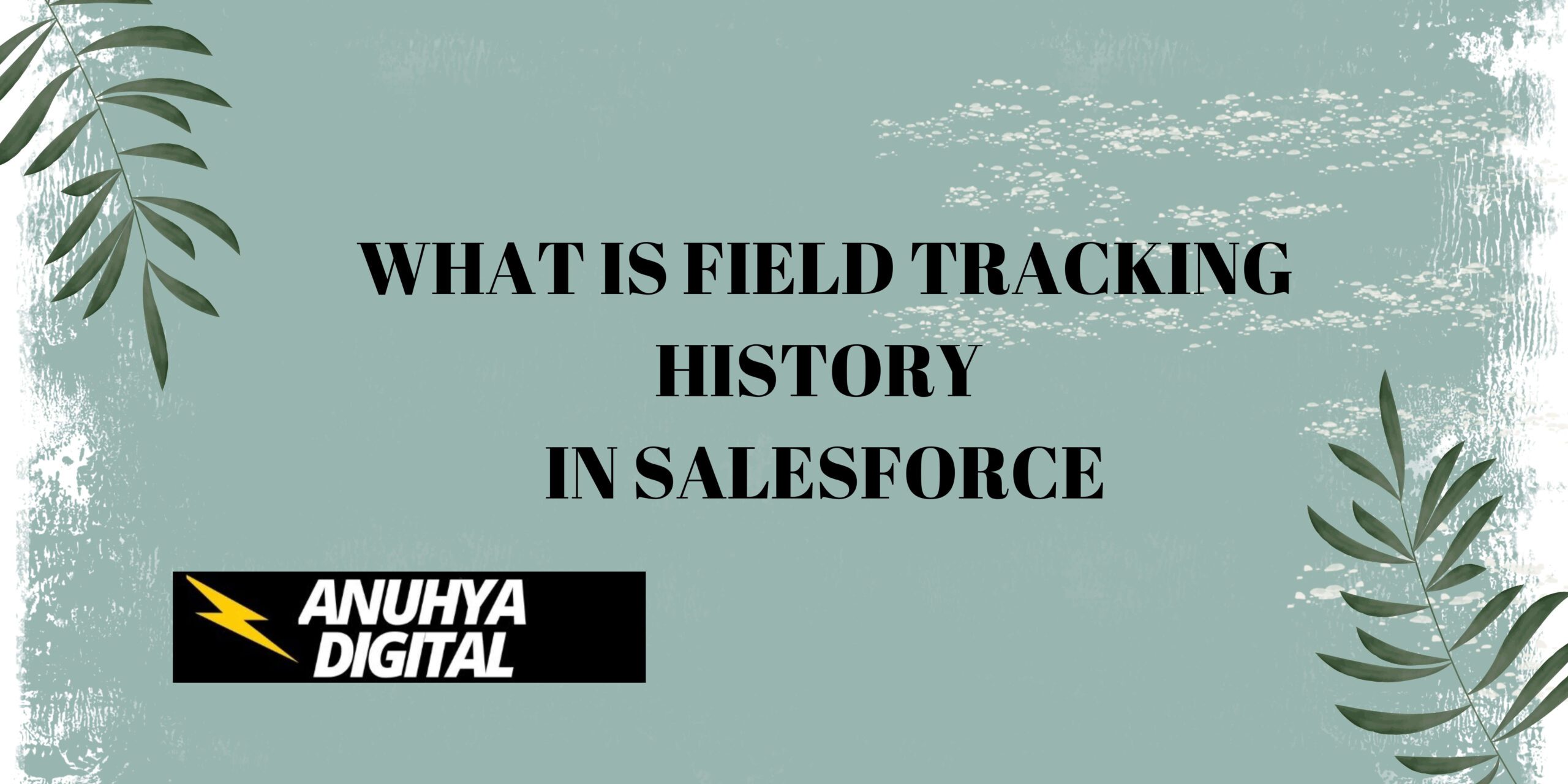 What is Field Tracking History in Salesforce