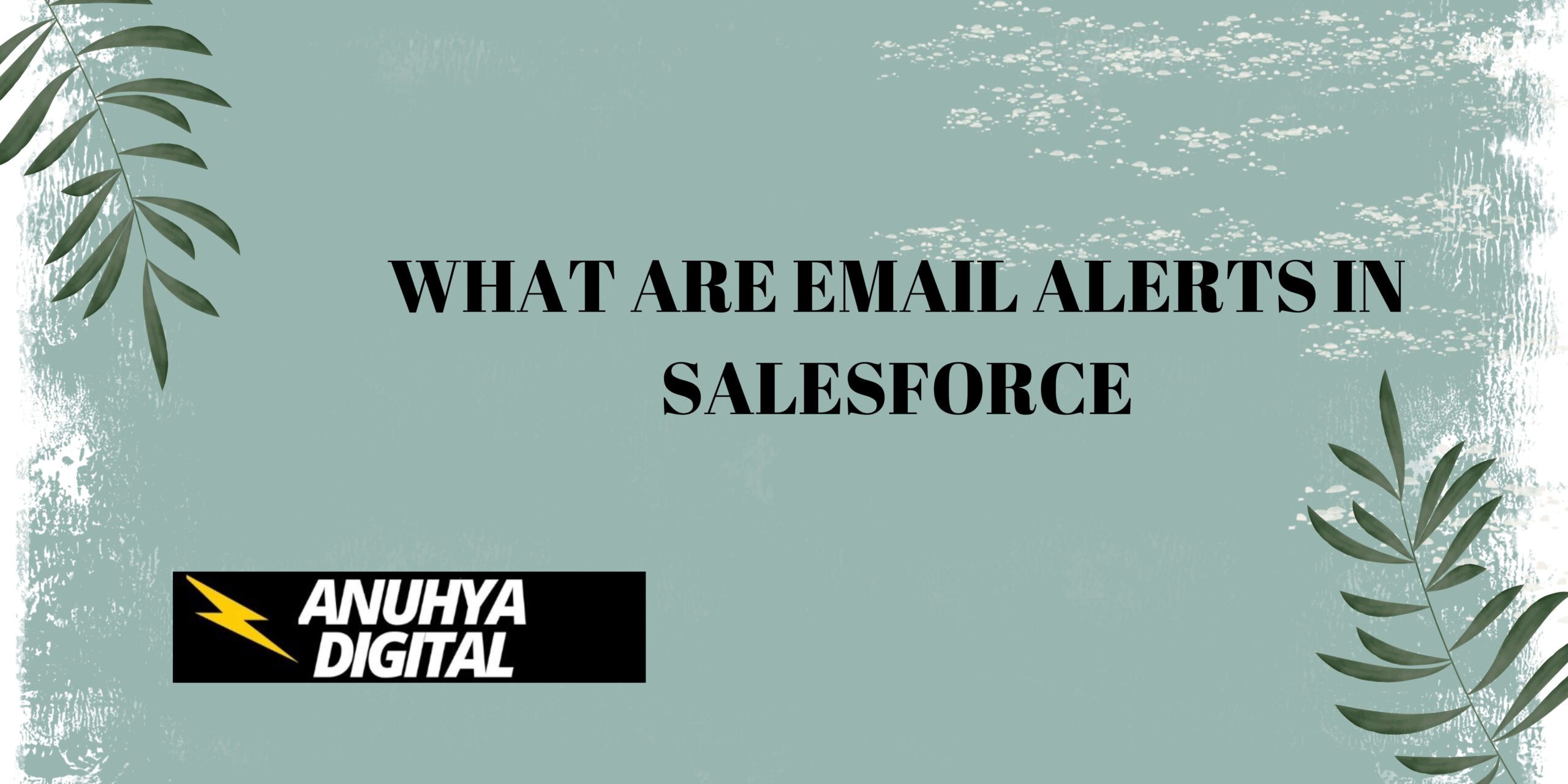 What are Email Alerts in Salesforce