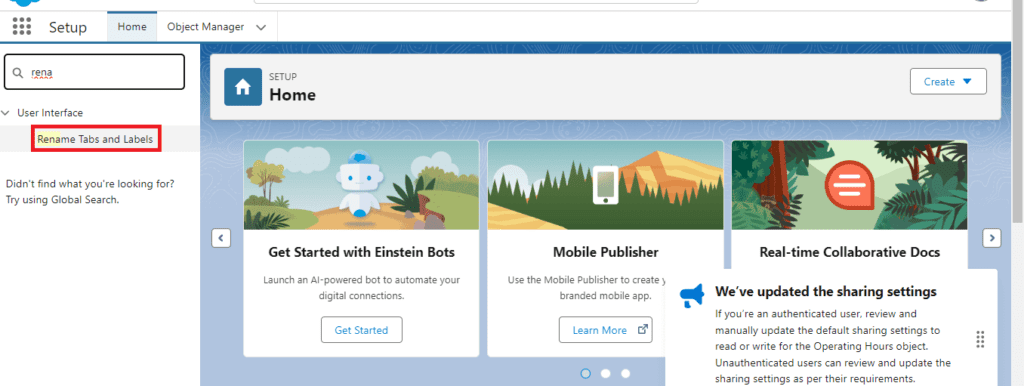 How to Rename Tabs in Salesforce