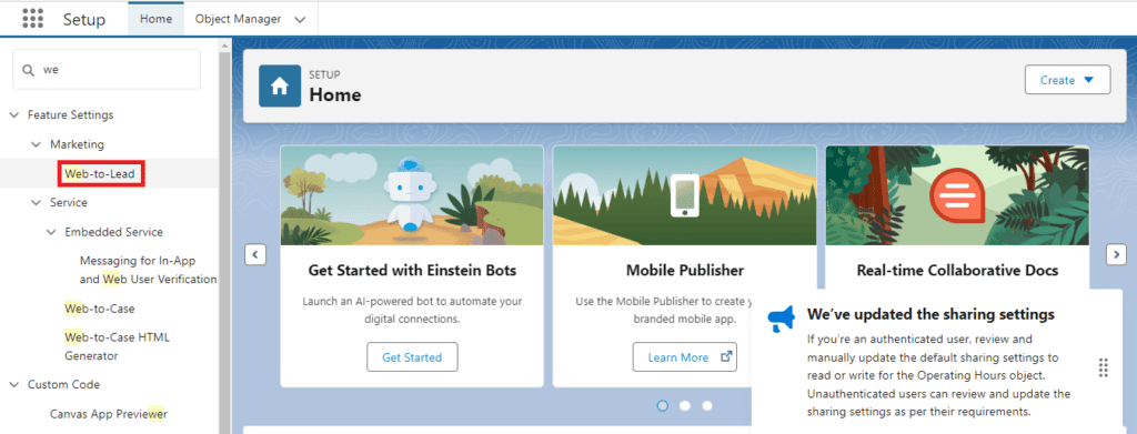 What is Web-to-Lead in Salesforce