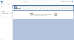 What is Survey in Salesforce