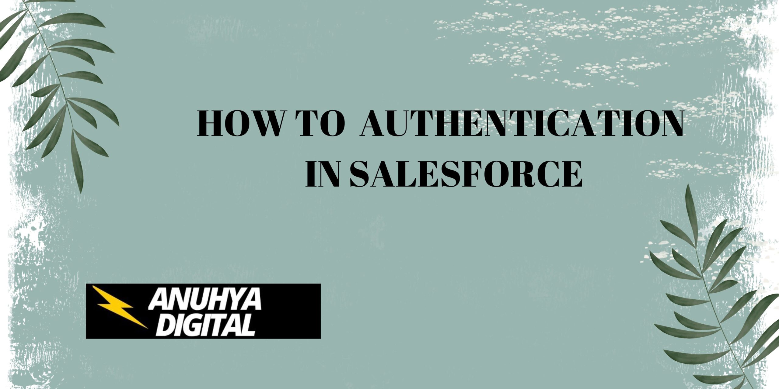 How to Authentication in Salesforce