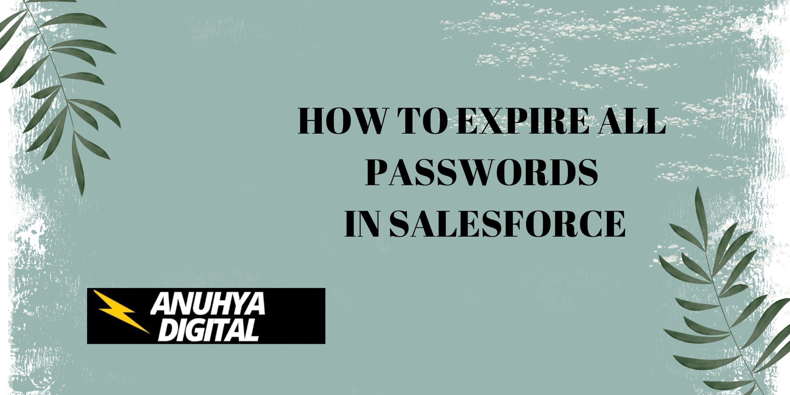 How to Expire All Passwords in Salesforce