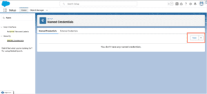 What is Name Credentials in Salesforce