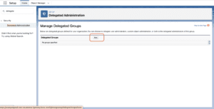 What is Delegated Administrator in Salesforce