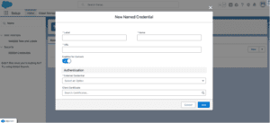 What is Name Credentials in Salesforce