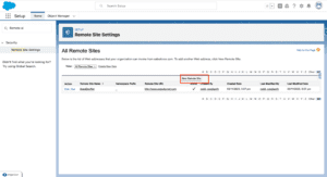 What is Remote Site Setting in Salesforce