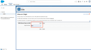 What is CORS in Salesforce