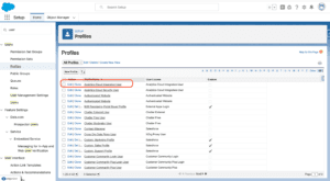 What is Login Access Polices in Salesforce