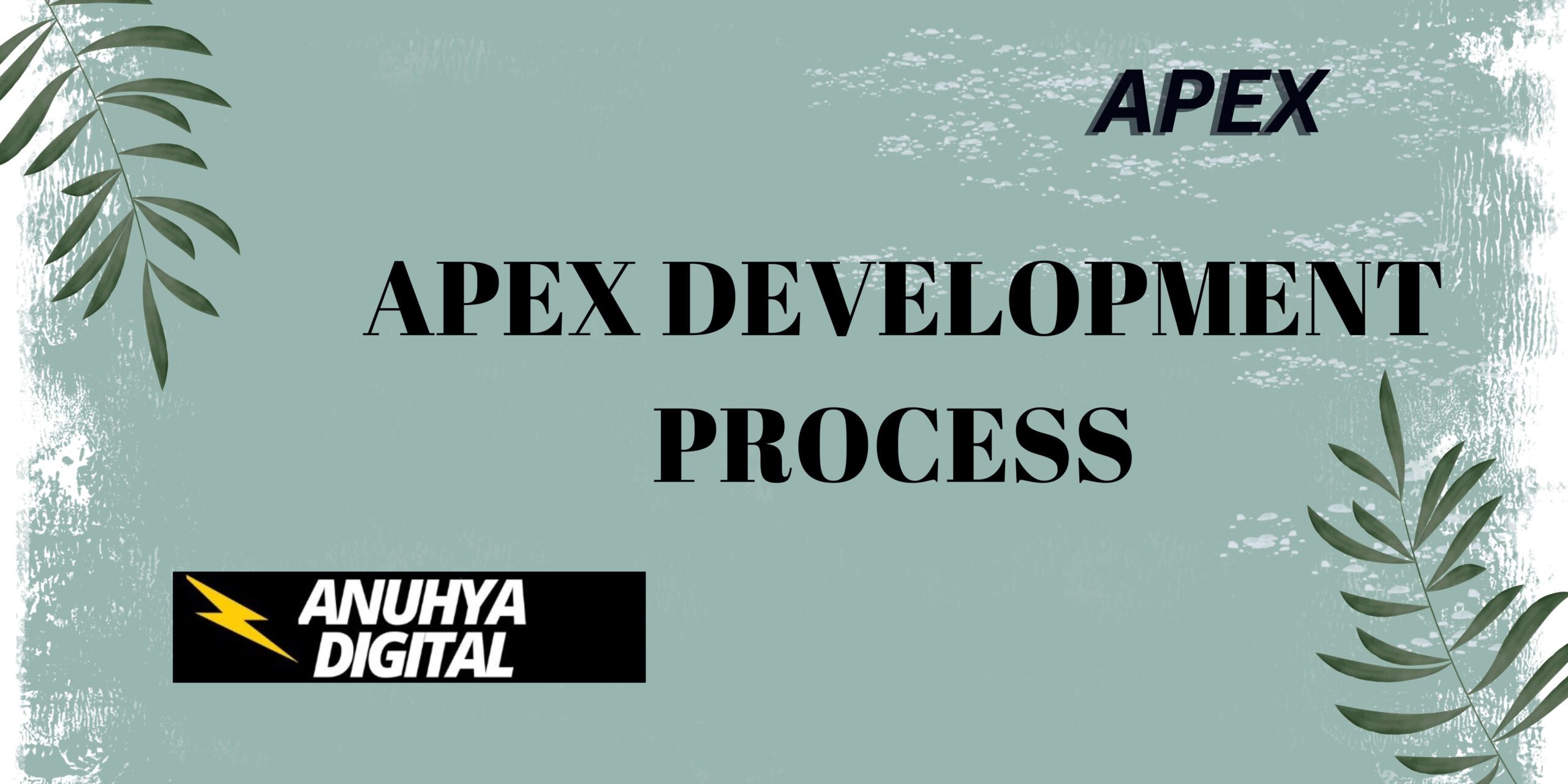 Apex Development Process