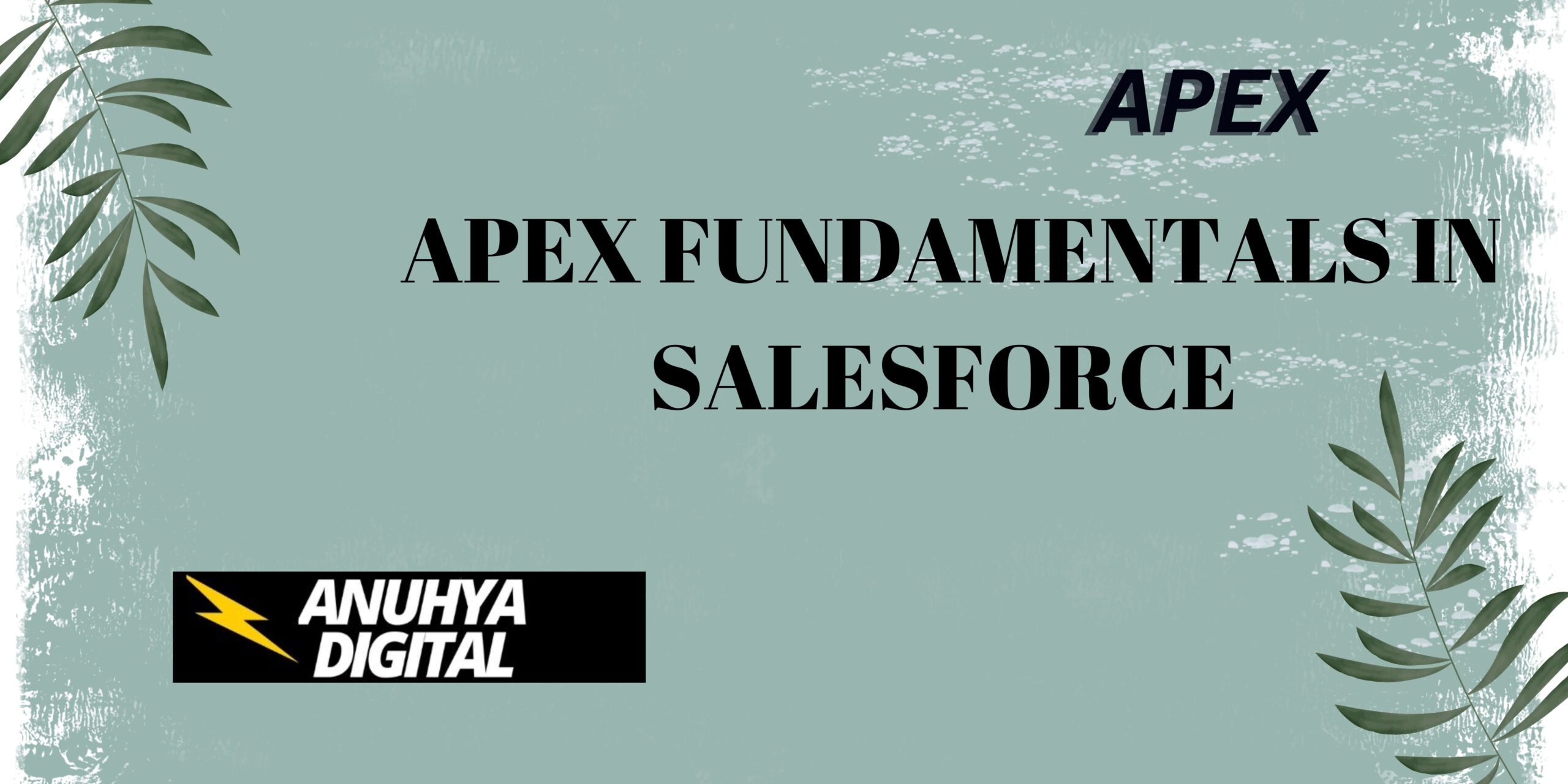 Apex Fundamentals in Salesforce