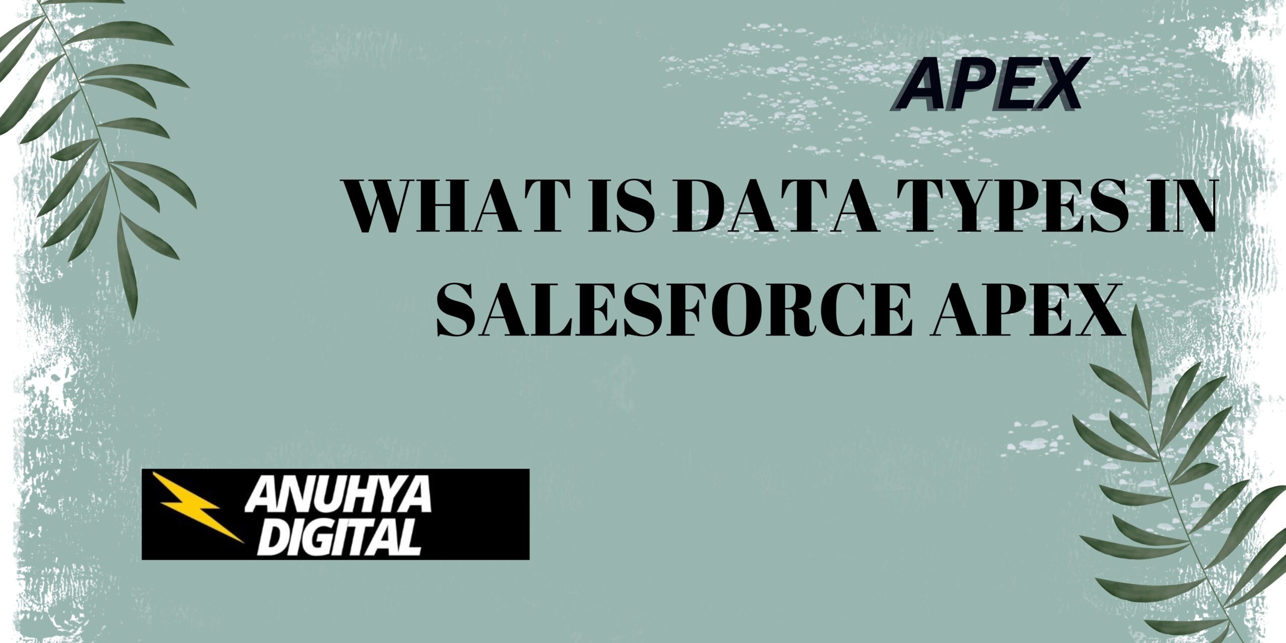 What is Data Types in Salesforce Apex