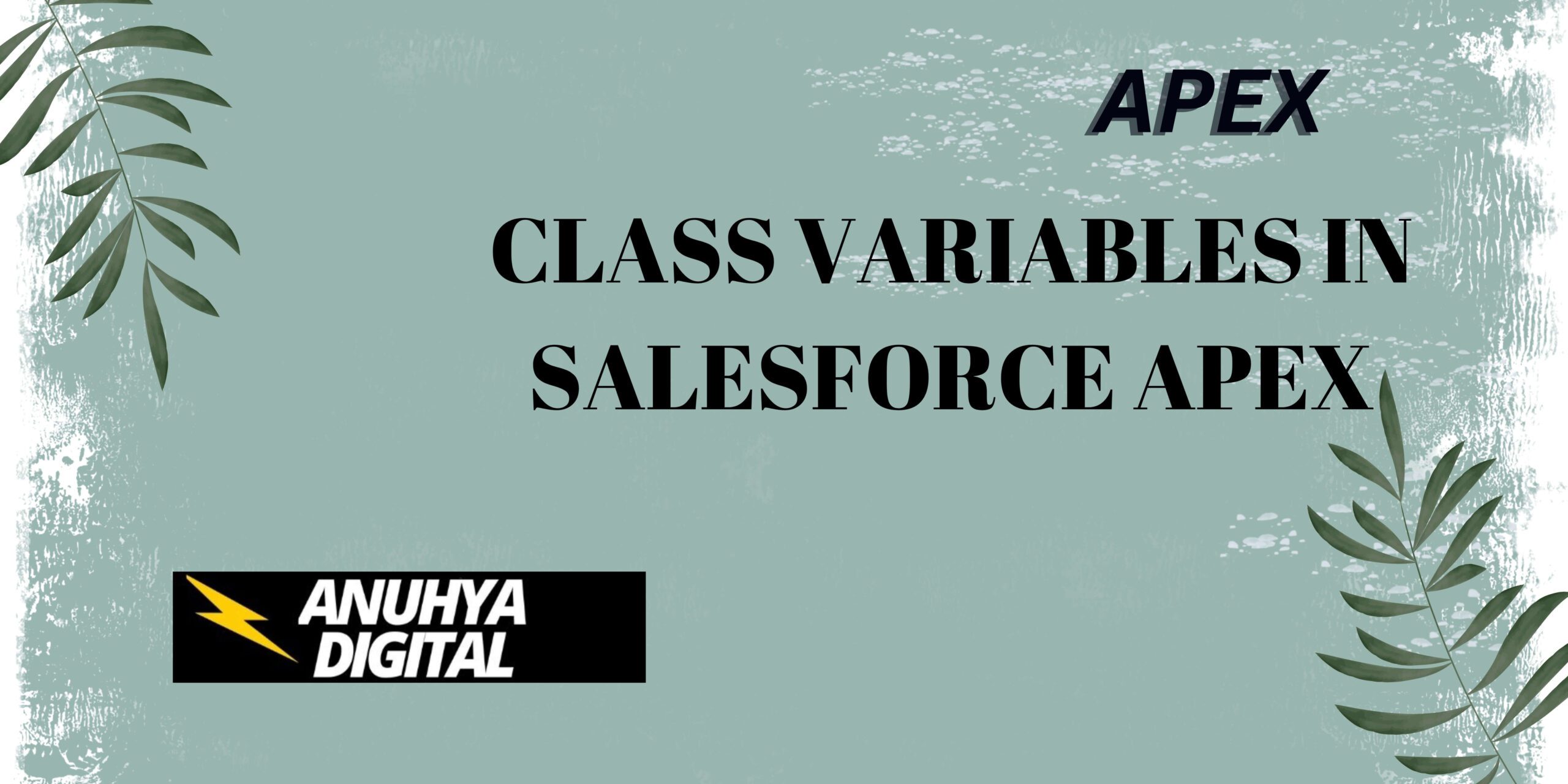 Class Variables in Salesforce Apex